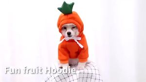 Cosplay Pet Clothes Dog Hoodies Clothing For Small Dog Coat Jacket Puppy Cat Costume Chihuahua Yorkie Clothes