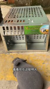 Nâng cấp 2.0! 🔥Có kèm mồi🔥Bẫy Chuột Kích Thước Lớn Bắt Liên Tục Bền Và Có Thể Tái Sử Dụng Lồng Chuột Kiểm Soát Dịch Hại Trực Tiếp