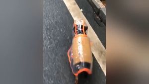 Áo mưa cho Chó Mèo bằng màng nhựa EVA trong suốt bọc viền (mẫu mới) - Hara Pet Store