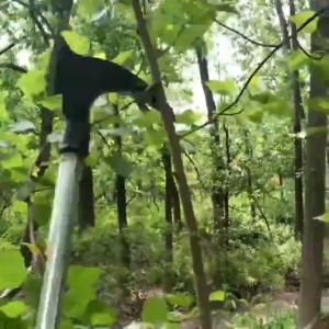 The  Wynns High Manganese Steel Double Chopping for Chopping Wood Cutting Trees Cutting Grass and Agricultural Tools