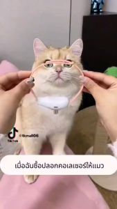 ล่อแมวอัตโนมัติ ไฟเลเซอร์แมว 2in1 ปลอกคอ + แกล้งแมว เลเซอร์แมว ปลดปล่อยธรรมชาติของแมว เลเซอร์ของเล่น ให้แมวเล่นเอง ไม่เดียวดายอีกต่อไปของเล่นแมว เลเซอร์ล่อแมว ของเล่นแมว ปลอกคอแมว cat laser toy