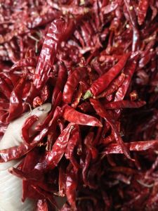 1kg CABE TEJA CAPLAK KERING TANPA TANGKAI SUPER PEDAS
