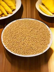 Specialty Northwest Yellow Mustard Seeds ly Ground Mustard Powder for Cold Dishes Noodles Skin Salad Pickled Cucumbers Seasoning