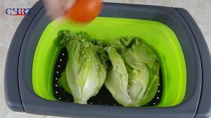 SPEEDS Alat Pengering Lipat Cuci baskom buah sayur piring / saringan lipat 206-8