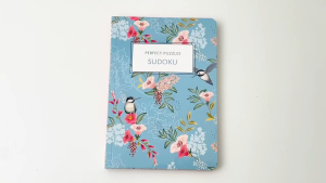Sudoku Perfect Puzzles (150+ Puzzles) With Easy Instructions 192 Pages For Adults