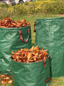 ถุงเก็บใบไม้และกิ่งไม้ในสวนกลางแจ้ง ถุงเก็บใบไม้ร่วงแบบพับได้และหนา ถุงเก็บขยะสำหรับทำสวน น้ำหนักเบาและพกพาสะดวก ความจุในการจัดเก็บขนาดใหญ่ วัสดุ PP ทนทานต่อการสึกหรอ จัดเก็บง่ายและประหยัดพื้นที่