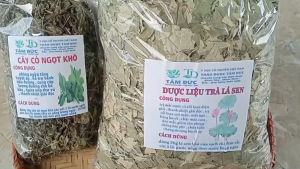 Lá sen sấy khô [100g] TẶNG [50g] cỏ ngọt - cải thiện giấc ngủ  duy trì vóc dáng  ổn định huyết áp