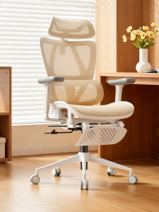Ergonomic Chair