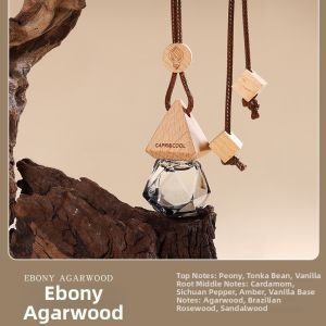 WEIKAMAYI | Long-lasting Car Aromatherapy Hanging
