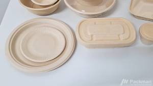 Biodegradable Food Container Sugarcane Bagasse Lunch Box Composable Food Box For Restaurant Cafe Hawker Catering Service