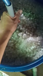 Đĩa sủi bể vi sinh | Đĩa sủi tăng áp | Đĩa sủi 90 | Đĩa sủi 140