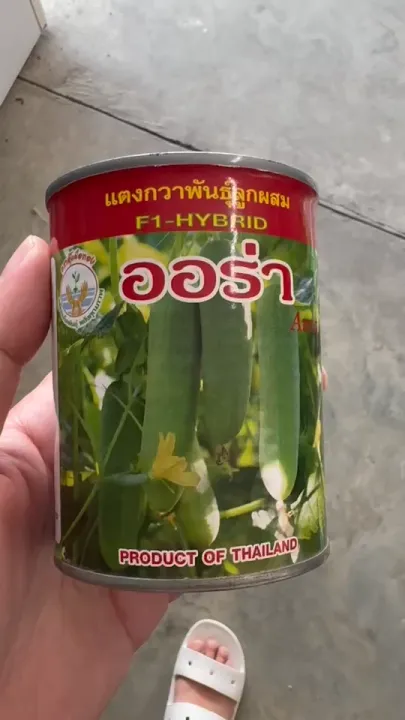 เมล็ดแตงกวา ออร่า 100 กรัม ผลดก เก็บเกี่ยว 28 วัน