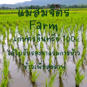 ข้าวแม่สมจิตรออร์แกนิค 500 กรัม+กระเป๋าผ้า 6X8 นิ้วสกรีนตามต้องการ