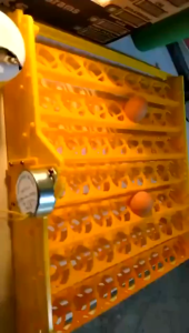 56/48/36/24 Eggs tray Automatic Egg Incubator Turner Tray With 220V Motor Chickens Ducks Poultry Hatching Device