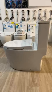 [CLIMATE VOUCHER $300] Aalto AL8040 Geberit Toilet Bowl Rimless Double Vortex Flushing with Anti Bacteria Coating