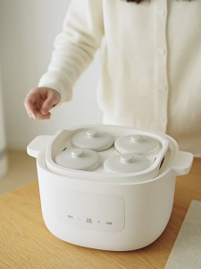 Olayks 2.8L Electric Slow Cooker Stew Cooker Double Boiler Soup 1+4 Ceramic Stew Pot Porridge Bird Nest Soup Cooker