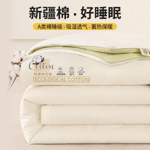 Thickened Pure Cotton Quilt A-Class Warm Winter Core Cotton Filling Student Dormitory Home Use Warmth Breathable Skin-Friendly