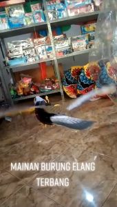 Mainan Anak Burung Elang Terbang Gantung Pakai Baterai Ada Suara Dan Mata Menyala