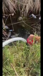 Target "สินค้าใหม่" ปั๊มแช่ดูดโคลน ปั๊มแช่สำหรับดูดโคลน  ดูดโคลนท่อออกขนาด 2″ (1HP) ดูดลึก 15เมตร ใบพัดตัดขยะ