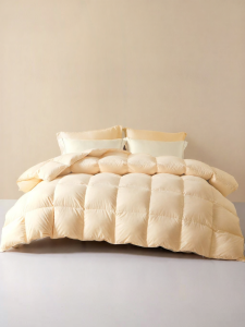 Boyang Home Textile | Thickened Winter Warm All-Seasons Quilt