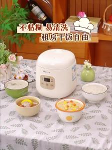 「China Plug」Bear | Multi-functional Rice Cooker for 1-2 People