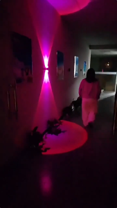 Jerry.jk ไฟ LED กลางคืน 2  แพ็คพร้อม Motion Sensor ไฟกลางคืน LED ไล่โทนสี RGB คมไฟเซ็นเซอร์แบบแม่เหล็ก ชาร์จไฟได้ ตรวจจับการเคลื่อนไหว  ติดตั้งด้วยแม่เหล็ก ไม่ต้องเจาะ