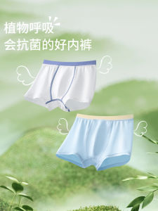 Boys Antibacterial Breathable Flat Angle Underwear Short Pants Summer Thin Lenzing Cotton Childrens Innerwear Casual Style