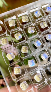 Khay Mika Cao Cấp Trang Trí Đựng Và Bảo Quản Đá Phụ Kiện Charm Nail 36 Ô Và Nhiều Cách Sử Dụng Khác