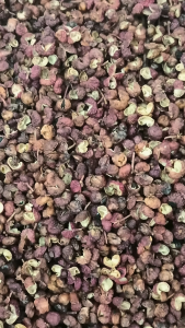 花椒 100g Sichuan pepper 川椒 山椒 Chinese pepper Chinese prickly ash