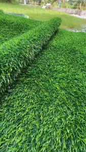 (แบบแบ่งตัด) หญ้าเทียม 3 cm.SD หนา ขนยาวนุ่ม ขนาด 2-10 ตรม. หญ้าหนาฟูสวย เคลือบกันUV ใช้ได้ทั้งภายนอกภายใน ตกแต่งสวนแต่งบ้าน