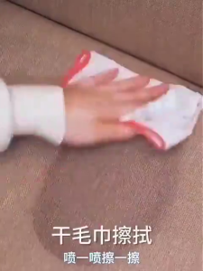 【SG SELLER】Japan Home 99.9% Antibacterial Fabric Sofa Cleaner No washing No Watermark Carpet Remove Stain