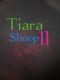 tiarashoop11