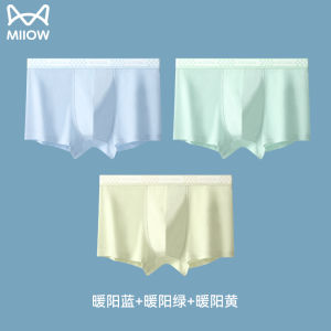 Pure Cotton Boys Underwear Teenage Boys Boxer Shorts Mid-Waist Elastic Comfortable Inner Waistband Four Corners Briefs