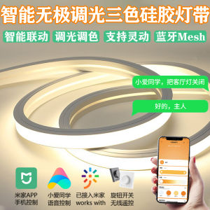 Smart Silicone LED Strip Lights 24V Dimmable Three-Color Flexible Living Room Ceiling Linear Light Home Decorative Lighting
