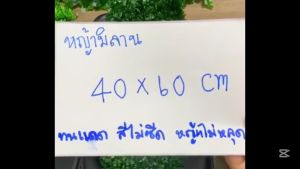 EAGOCRAFT ขนาด40x60cm. หญ้าผนังกันร้อน หญ้ามิลาน ตีนเป็ด หญ้าเทียมแนวตั้ง แต่งร้านค้า คาเฟ่ติดรั้่วบ้าน