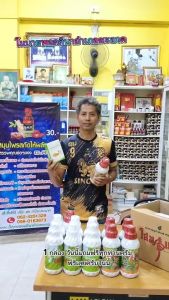 โสมแดงควิก วิตามินบำรุงกำลัง สำหรับพืช ของแท้100%