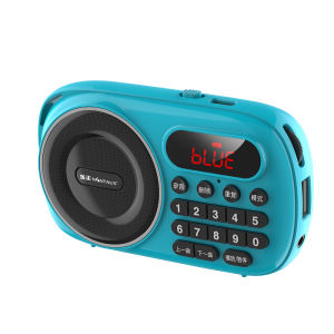 2024 Mới Vàng Đúng Mini Di Động Thẻ Bluetooth Loa Đài Phát Thanh Đầu Ghi Máy Nghe Nhạc Lossless Màn Hình Hiển Thị Kỹ Thuật Số Dùng Nguồn USB