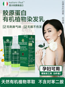 Nature Bud Nature Bud Natural Organic Plant Hair Color Cream Male Female the Pregnant Available Ammonia-Free Import Hair Dye