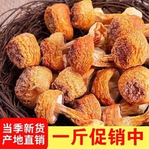 Yunnan Grade A Matsutake Dried Goods