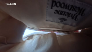 TELESIN S1-CSS-08 Vlog Remote Tripod Selfie Stick for Smartphone GoPro DJI Action Camera