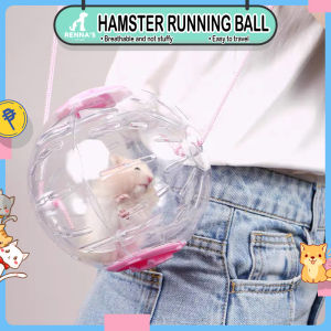 Rennas Hamsters Running Ball Hamsters Wheel Large For Hamsters Toy For Hamsters Accessories Set Pet