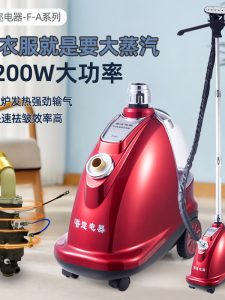 Powerful Steam Garment Steamer F132 Vertical Hanging Iron for Clothing Stores Large Power Home Use Ironing Machine Iron