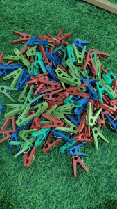 Happyware 1/2KG 1KG 50-200pcs Clothes Plastic Clip Pins (Sipit ng Damit) Ipit