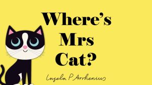 หนังสือผิวสัมผัส Nosy Crow - Where Series (Felt Flaps)