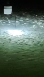 Lampu Celup Mancing Anti Air 12V & 24V: Pemancing Malam Profesional