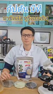 กัปตันบีที สูตรเข้มข้น เชื้อ 2 เท่า บาซิลลัส ทูริงเยนซิส BT แบบผง(500กรัม) ปลอดภัย 100 %