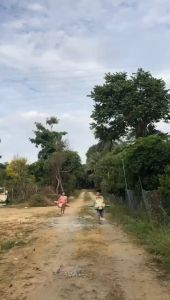 MALOTOYS - DIY Cardboard Costume Kostum Karton Animal Paper Costumes Jerapah Pesawat Helikopter Dino Giraffe Elephant Plane Mainan Diy Kertas Aktivitas Prakarya Anak Kostum Peran Kardus Dino Malo Toys