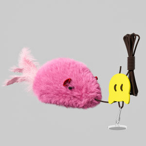 HOOPET | Interactive Self-Entertainment Cat Toy Durable Feather Teaser