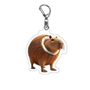 YIRANJIA | Magnetic Transformer Child Toy
