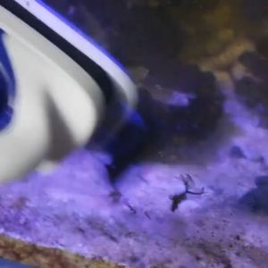 (SALE) SOBO Floating Magnetic Aquarium Fish Tank Glass Cleaner With Scraper